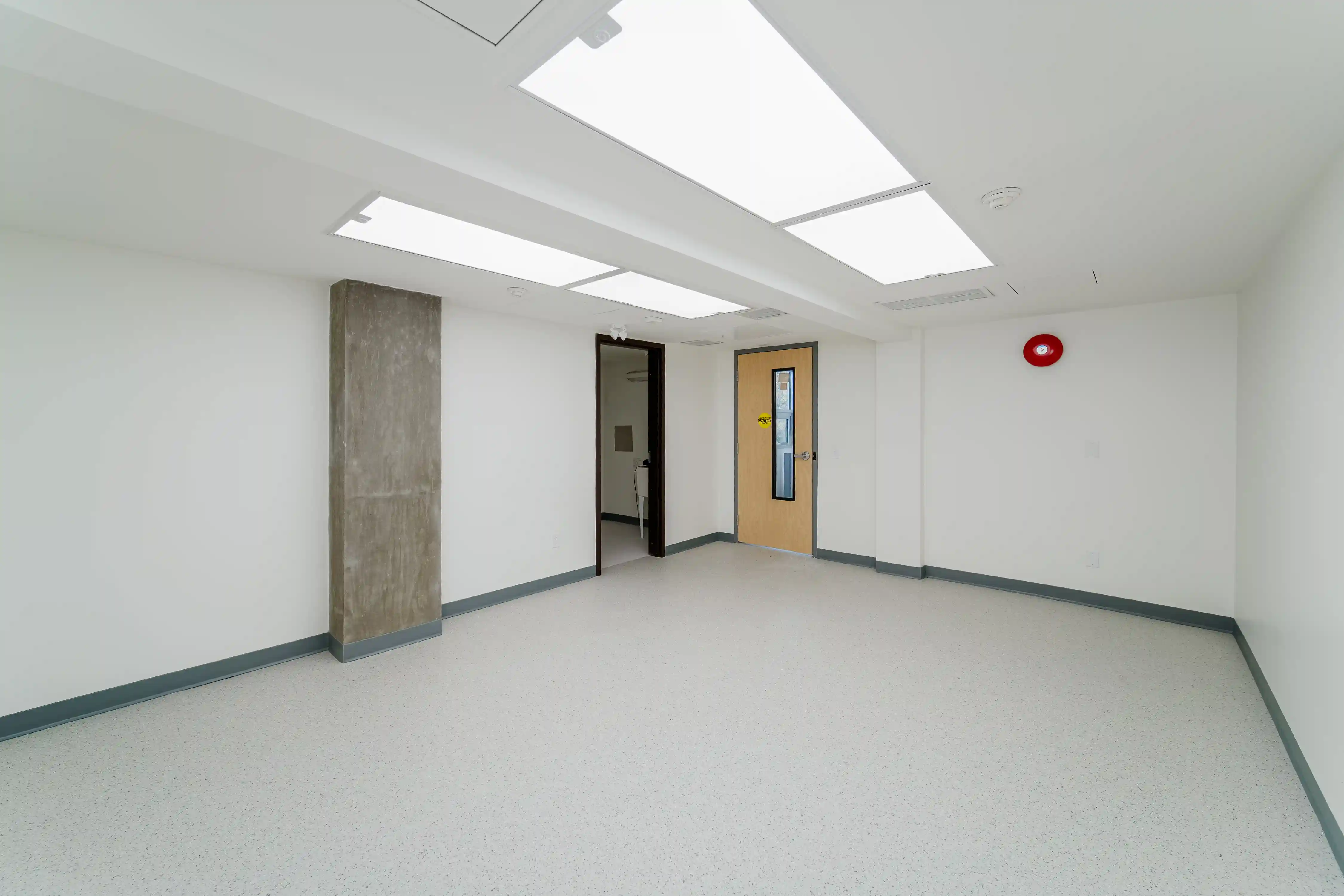 Professional painting services